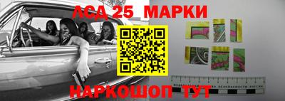 винт Славгород