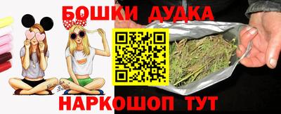 амф Сланцы